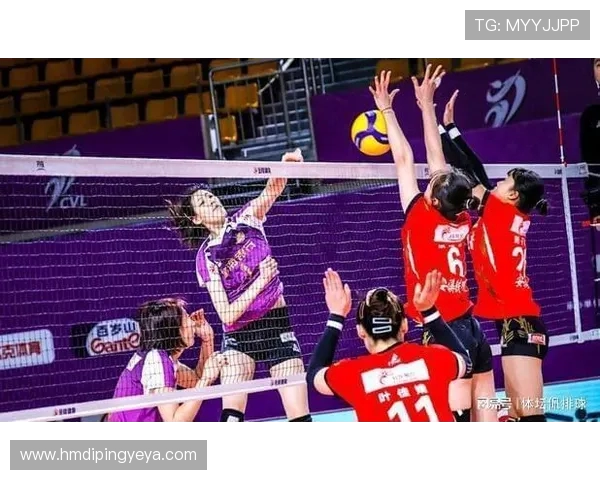南京排球队比赛经验引发热议球迷对战术与表现的不同看法
